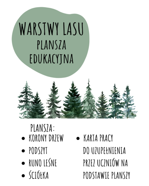 WARSTWY LASU - PLANSZA EDUKACYJNA + KARTA PRACY DLA UCZNIÓW
