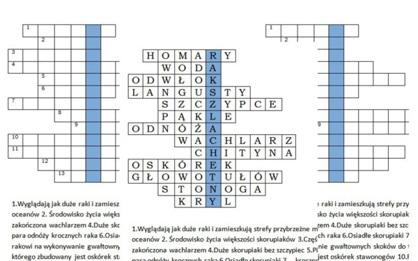 Logogryf ze skorupiakami dla klasy 6
