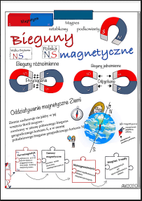 Bieguny magnetyczne