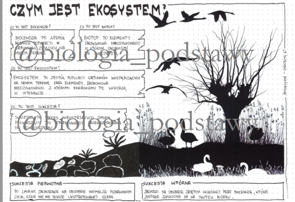 Klasa 8 - Czym jest ekosystem? - sketchnotka