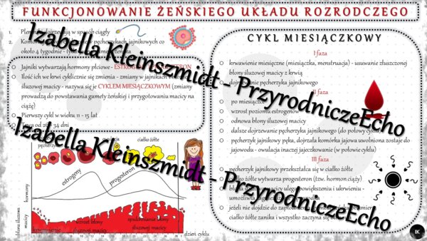 Sketchnotka - notatka „Funkcjonowanie żeńskiego układu rozrodczego” wykonana w power point do edycji. Biologia 7; „Rozmnażanie i rozwój człowieka”