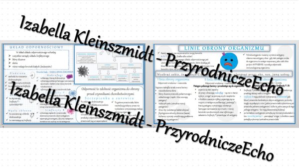 Sketchnotka - notatka „Budowa i funkcjonowanie układu odpornościowego” wykonana w power point do edycji. Biologia 7; „Układ krążenia”