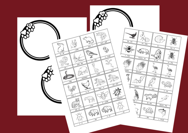 ORTOGRAFICZNY ZWIERZYNIEC - ortografia - wklejki - karty pracy