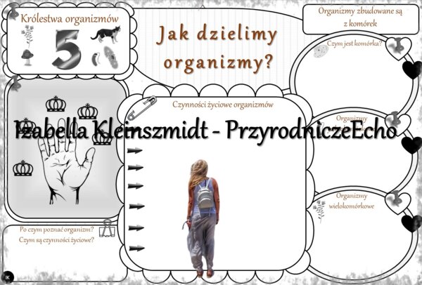 Karta pracy „Jak dzielimy organizmy?” wykonana w power point do edycji. Przyroda 4, „Środowisko życia organizmów” na podstawie wydawnictwa WSiP