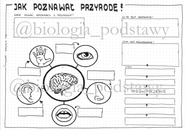 Klasa 4 - Jak poznawać przyrodę - KP