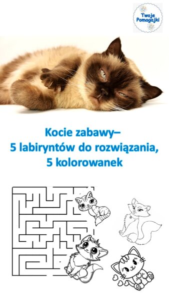 😻😻Kocie zabawy na dzień kota - labirynty i kolorowanki