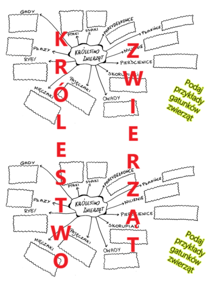 KRÓLESTWO ZWIERZĄT - wklejka, sketchnotka