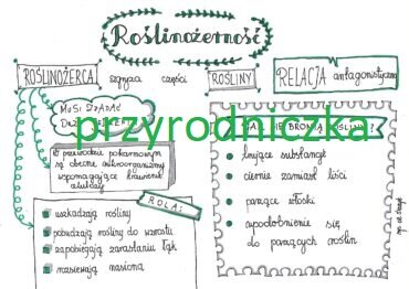 Klasa 8. Biologia. Roślinożerność