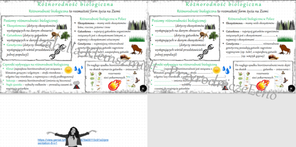 Mini zestaw do tematu „Różnorodność biologiczna”- sketchnotka + karta pracy + gratisowy link do prezentacji multimedialnej niekomercyjnej wykonanej w genial.ly do indywidualnego pobrania i użycia do celów niekomercyjnych. Biologia klasa 8, dział IV „Czło