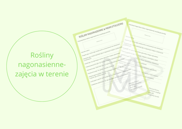 Karta pracy - rośliny nagonasienne w moim otoczeniu
