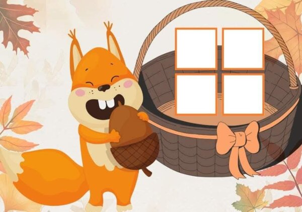 Matematyczna wiewiórka