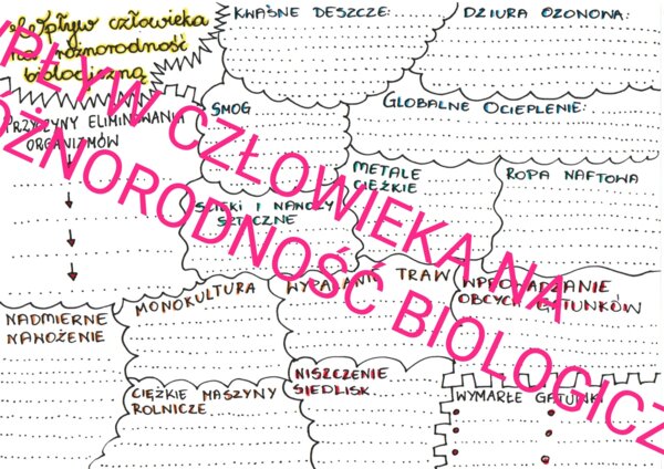 Wpływ człowieka na różnorodność biologiczną