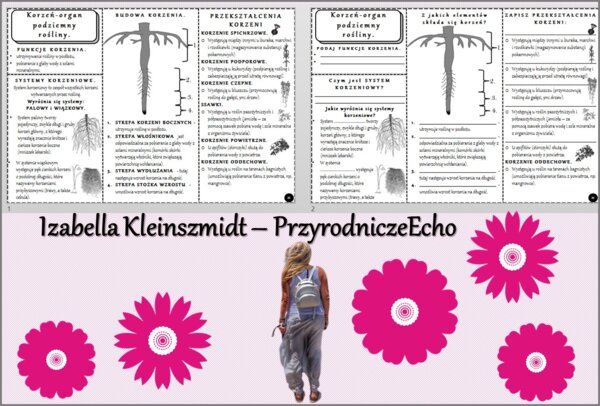 Minizestaw do tematu „Korzeń - organ podziemny rośliny” – sketchnotka + karta pracy w pdf + gratisowy link do prezentacji multimedialnej niekomercyjnej wykonanej w genial.ly do indywidualnego pobrania i użycia do celów niekomercyjnych. Biologia 5, Dział 