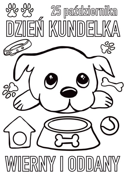 Dzień Kundelka - plakat, opaski