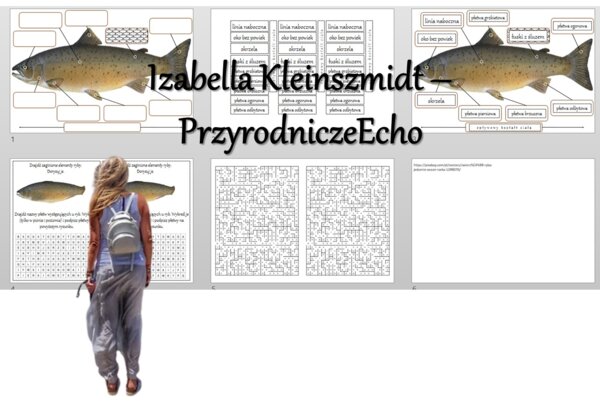 Materiał do zalaminowania/praca w grupach/puzzle/układanka/wykreślanka/labirynt. „Ryby – kręgowce środowisk wodnych” w pdf. Biologia 6, dział „Kręgowce zmiennocieplne”.