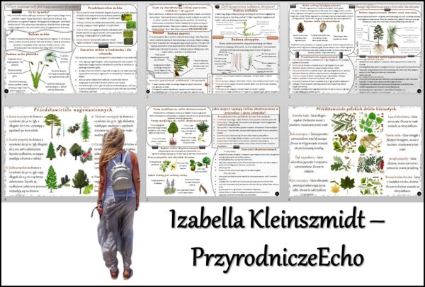 Zestaw sketchnotek/notatek/streszczeń/wklejek/ściąg dla ucznia i nauczyciela/edukacja domowa w pdf. Biologia 5 dział „Mchy. Paprotniki. Nagonasienne. Okrytonasienne”. Notatki zostały wykonane na podstawie podręcznika z wydawnictwa WSiP.