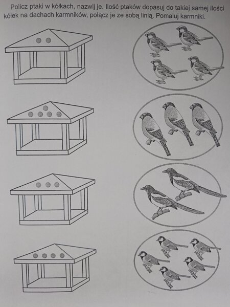 Ptaki zimą karty pracy