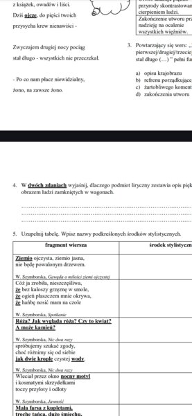 Poezja i środki stylistyczne - sprawdzian dla kl. 8