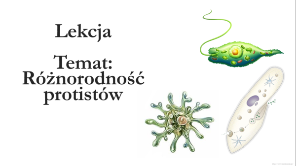 Klasa 5 - Protisty - prezentacja