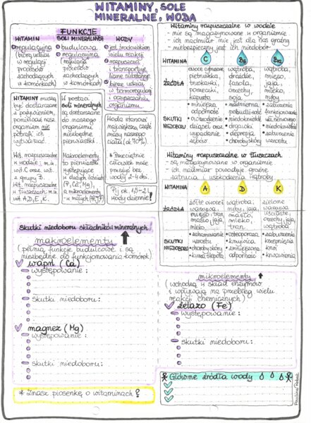 Witaminy, sole mineralne, woda - kolor - klasa 7