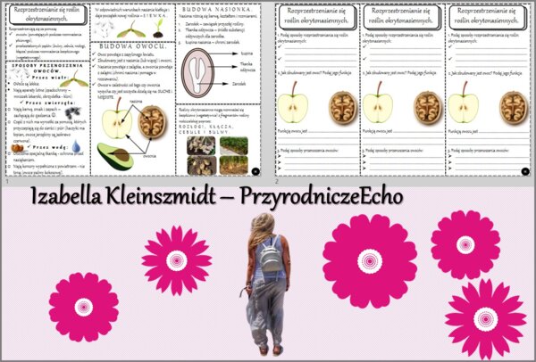 Minizestaw do tematu „Rozprzestrzenianie się roślin okrytonasiennych” – sketchnotka + karta pracy w pdf + gratisowy link do prezentacji multimedialnej niekomercyjnej wykonanej w genial.ly do indywidualnego pobrania i użycia do celów niekomercyjnych. Biol