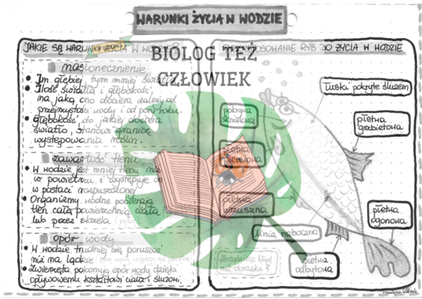 Warunki życia w wodzie - szarość