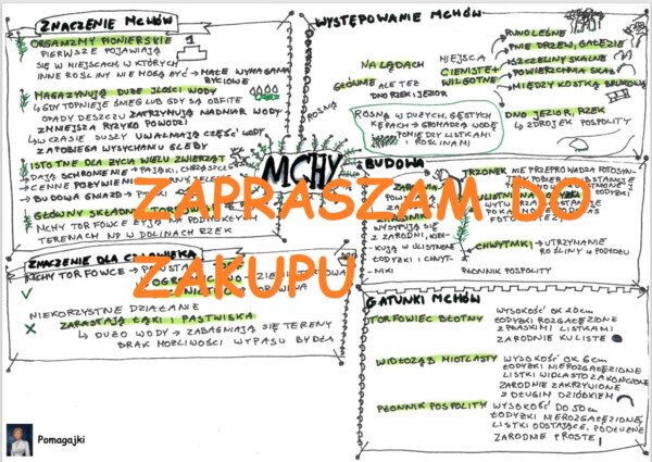 ?Biologia 5 klasa - mchy sketchnotka