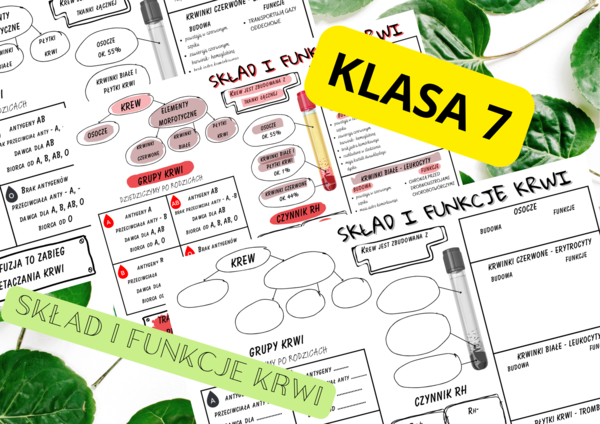 Biologia 7. Skład i funkcje krwi