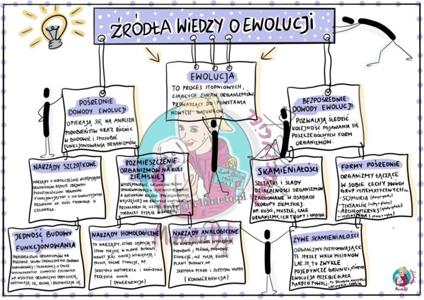 Ewolucja - Źródła wiedzy - klasa 8,  wklejka do zeszytu