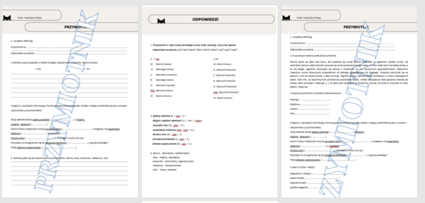Przymiotnik kartkówka klasa 4/5