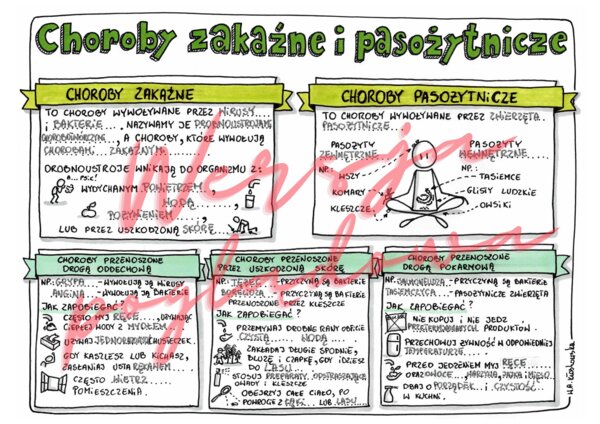 Choroby zakaźne i pasożytnicze - przyroda kl. 4 - wypełniona karta pracy