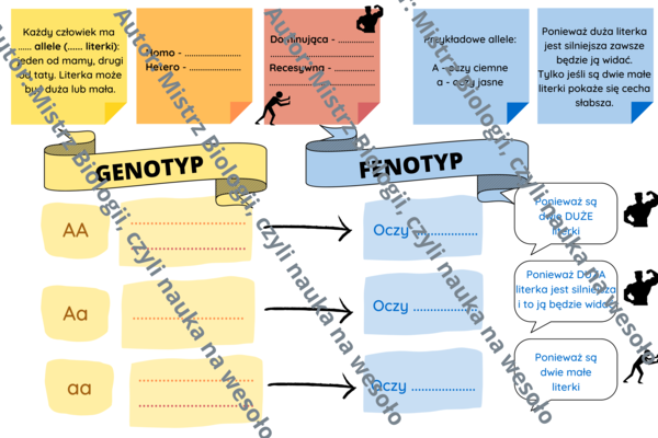 Wstęp do zadań z genetyki - do uzupełnienia