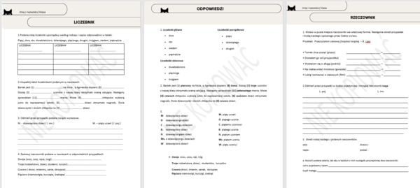 Odmienne części mowy - rzeczownik, czasownik, przymiotnik, liczebnik - zestaw kartkówek dla klasy 4/5