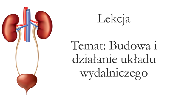 Klasa 7 - Budowa i działanie układu wydalniczego - prezentacja