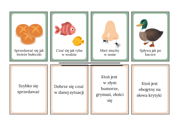 Frazeologizmy/idiomy - fiszki na dopasowanie