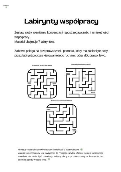 Labirynty współpracy