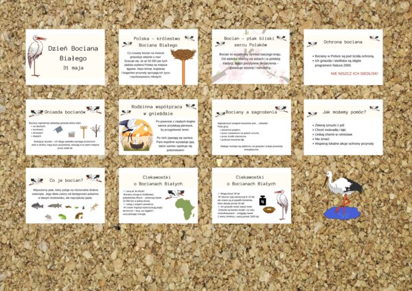 Dzień Bociana Białego - gazetka