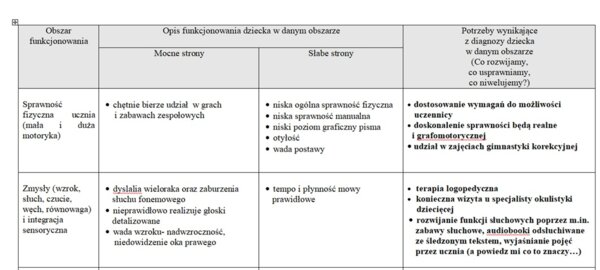 Wielospecjalistyczna Ocena Poziomu Funkcjonowania Ucznia z Niepełnosprawnością Intelektualną w Stopniu Lekkim