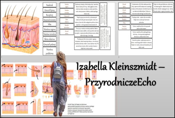 Materiał do zalaminowania/praca w grupach/stacje zadaniowe/układanka/puzzle/notatki okienkowe. Temat: „Budowa i funkcje skóry”, „Organizm człowieka jako funkcjonalna całość” w pdf. Biologia 7 dział „Organizm człowieka. Skóra - powłoka organizmu”. Materia