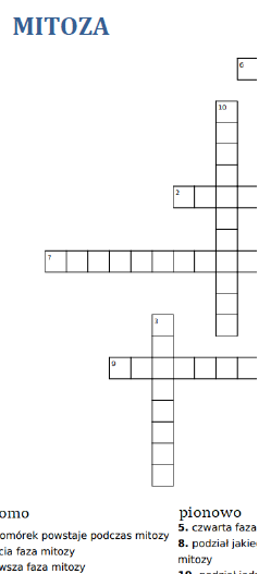 Mitoza