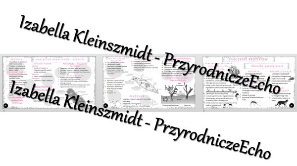 Sketchnotka - notatka „Różnorodność protistów” wykonana w power point do edycji. Biologia 5; „Wirusy, bakterie, protisty i grzyby”