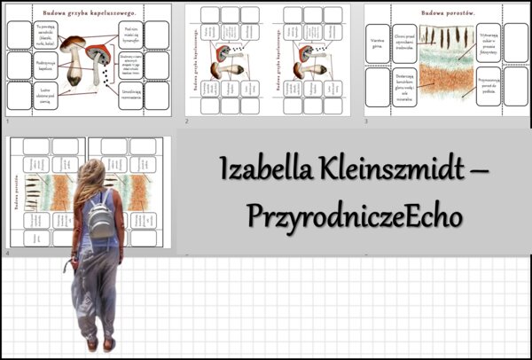 Notatka okienkowa „Budowa i różnorodność grzybów”, „Budowa porostów”, ” Budowa grzyba kapeluszowego” w pdf. Biologia 5 dział „Wirusy, bakterie, protisty i grzyby"”.