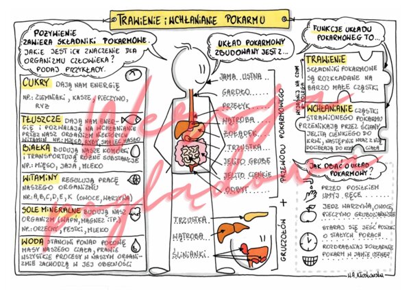 Trawienie i wchłanianie pokarmu - przyroda kl. 4 -wypełniona karta pracy