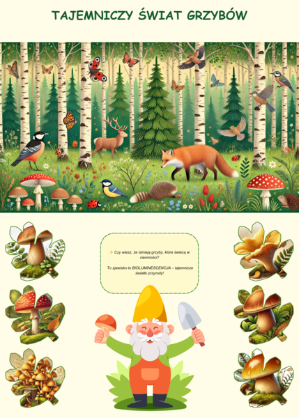 Plansze edukacyjne o grzybach i roślinach