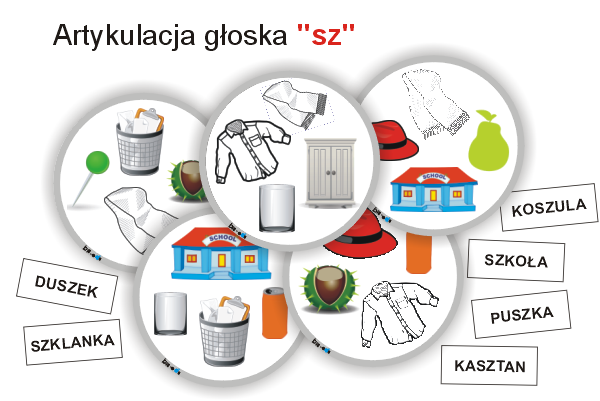 Artykulacja - SZ