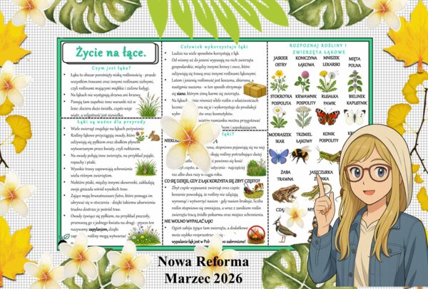 Sketchnotka/notatka - dla ucznia i przypomnienie dla nauczyciela w pdf. Temat "Życie w lesie". Przyroda 4. "Odkrywam przyrodę" zgodna z wydawnictwem Nowa Era. Dział "Życie na lądzie".