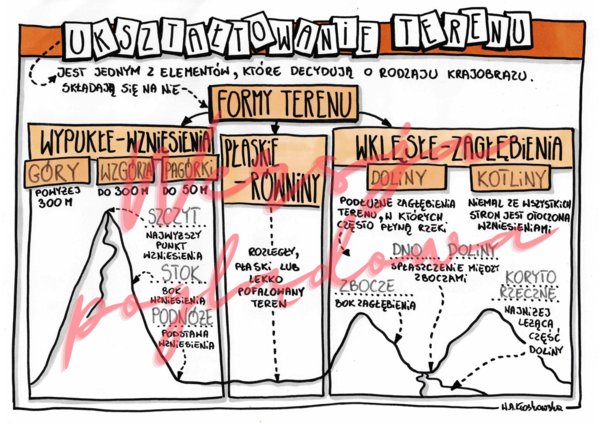 Ukształtowanie terenu – przyroda kl. 4 - wypełniona karta pracy