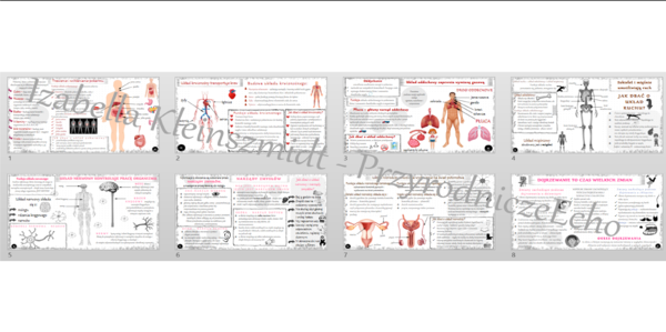 Zestaw 8 sketchnotek do przyrody w klasie 4 wykonanych w power point do edycji, PRZYRODA do klasy 4, dział IV – „Odkrywamy tajemnice ciała człowieka”