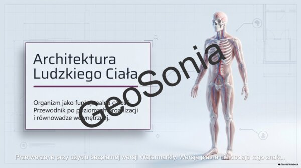 Organizm Człowieka jako Funkcjonalna Całość – Kompletna Prezentacja Edukacyjna biologia klasa 7