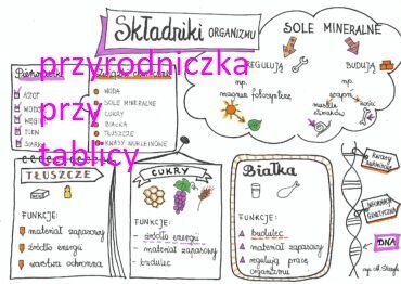 Klasa 5. Biologia. Składniki organizmu.